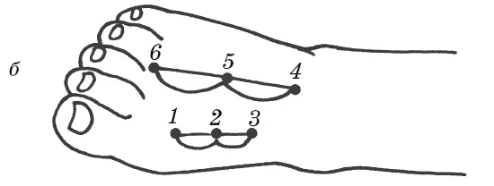 Рис 4 Основные янточки а точки 16 на кисти б точки 16 на стопе - фото 16