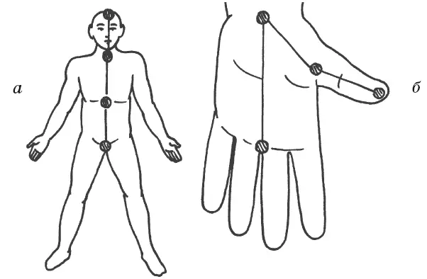 Рис 12 Соответствие срединной линии тела линиям ладони а срединная линия - фото 26
