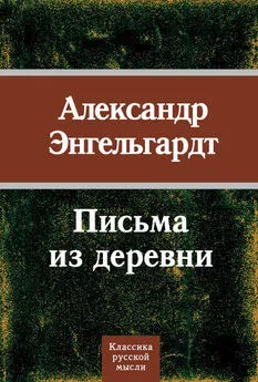 Александр Энгельгардт - Письма из деревни