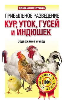 Лариса Конева - Прибыльное разведение кур, уток, гусей и индюшек. Содержание и уход