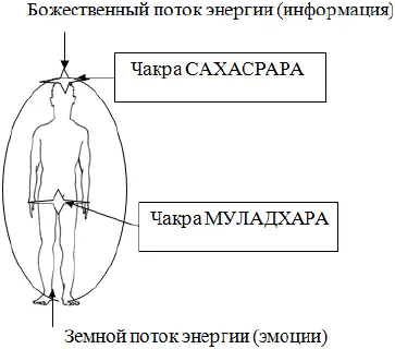 Археологические исследования показывают что наскальные рисунки выявили сложную - фото 4