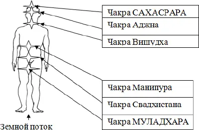 Следующий эволюционный шаг полное освоение новой экологической ниши знаменует - фото 5