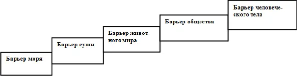 Этапы индивидуального развития человека и общества должны пройти следующие - фото 8