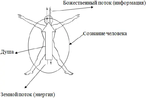 В зарождение человеческой жизни основными составляющими являются молекула ДНК - фото 12