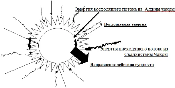 Энергоинформационное существо находящееся в предмете должно иметь возможность - фото 22