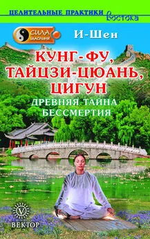 И-Шен - Сила Шаолиня. Кунг-фу, тайцзи-цюань, цигун. Древняя тайна бессмертия