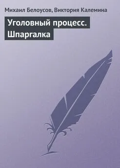 Михаил Белоусов - Уголовный процесс. Шпаргалка