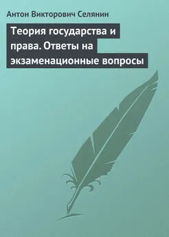 Антон Селянин - Теория государства и права. Ответы на экзаменационные вопросы