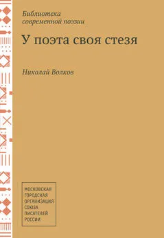 Николай Волков - У поэта своя стезя