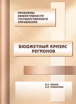 Владимир Ильин - Проблемы эффективности государственного управления. Бюджетный кризис регионов