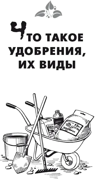 Что такое удобрения их виды Ответить на вопрос что такое удобрение просто - фото 2