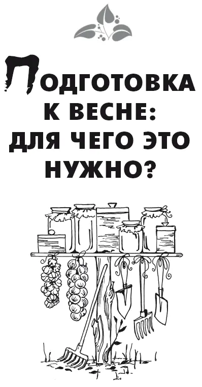 К весне для чего это нужно Весной возвращаясь на дачу после долгих зимних - фото 2