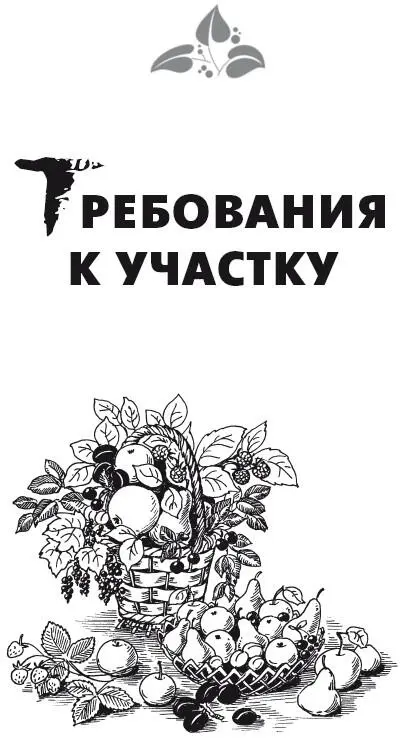 Требования к участку Выращивание плодовых и ягодных культур долгий и - фото 2