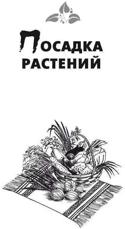 Посадка растений Посадка растений это очень ответственный этап в - фото 2