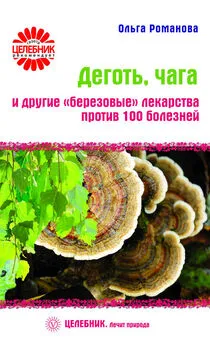 Ольга Романова - Деготь, чага и другие «березовые» лекарства против 100 болезней