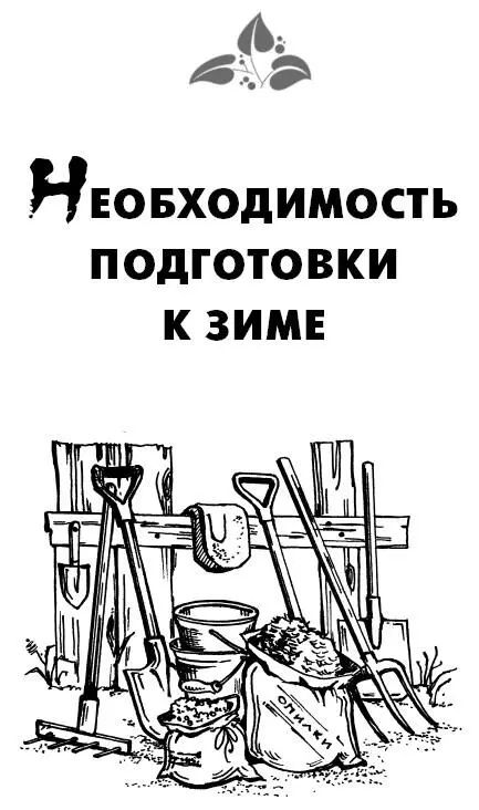 Необходимость подготовки к зиме Любой приусадебный участок требует к себе - фото 2