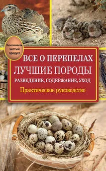 Александр Снегов - Все о перепелах. Лучшие породы. Разведение, содержание, уход. Практическое руководство