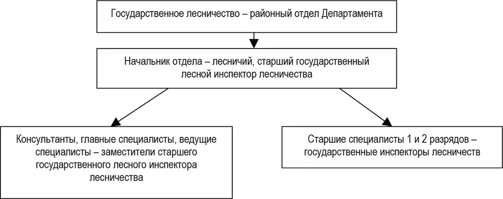 Рис 3 Структура управления лесами и обеспечения контроля за соблюдением - фото 4