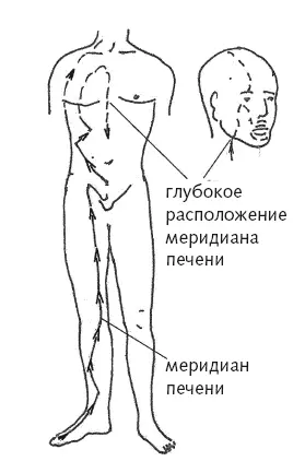 Рис 2 Большой меридиан печени Ладони и стопы полноценные проекции на них - фото 11