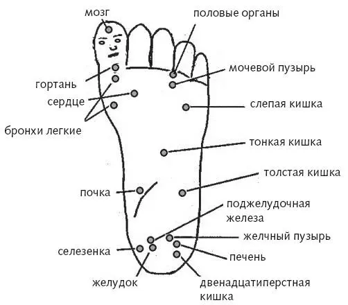 Рис 4 б Зонирование стопы Как воздействовать на активные точки Выбор - фото 15