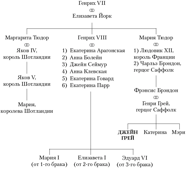 Пролог 14 ноября 1553 года Все кончено Суд завершился и я снова в Тауэре - фото 1