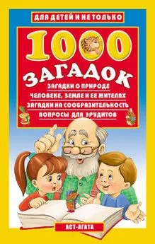 Владимир Лысаков - 1000 загадок