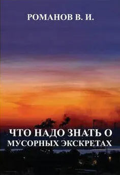 Вадим Романов - Что надо знать о мусорных экскретах