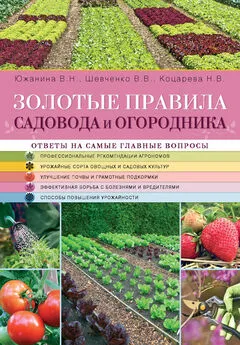 Надежда Коцарева - Золотые правила садовода и огородника