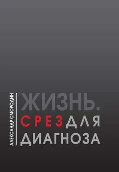 Александр Смородин - Жизнь. Срез для диагноза