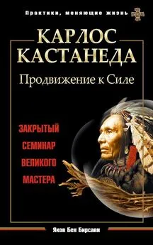 Яков Бирсави - Карлос Кастанеда. Продвижение к Силе. Закрытый семинар великого мастера