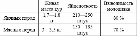 Яичные породы кур К ним относятся белый леггорн русские белые куропатчатые - фото 1