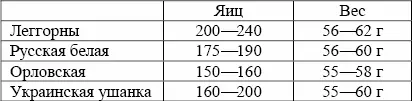 Леггорн Эта порода была завезена в Россию в конце XIX века из итальянского - фото 2