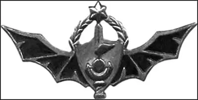 Знак подразделения специального назначения Генерального штаба За день до этого - фото 32