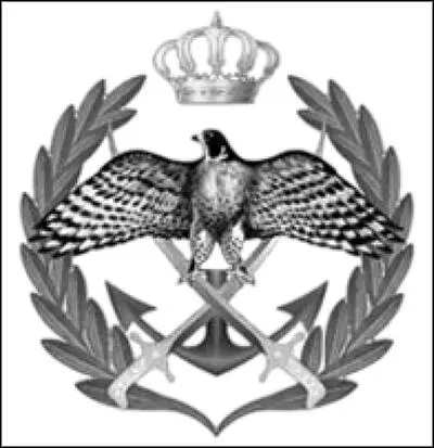 Арабский легион был единственным военным формированием арабов в боях с которым - фото 41