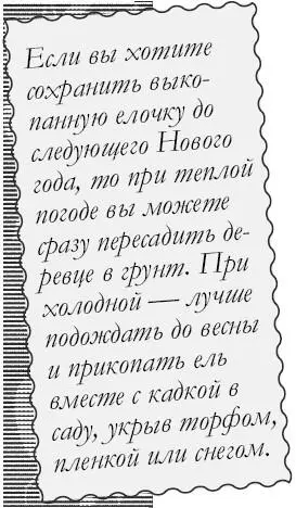 В ведро с водой в котором будет стоять елка добавить щепотку соли ложку - фото 33
