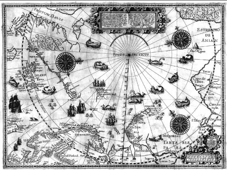 1 Deliniatio Cartae Trium Navigationum per Batavos Карта Арктики - фото 2