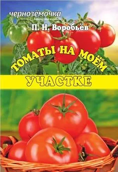 Петр Воробьев - Томаты на моем участке