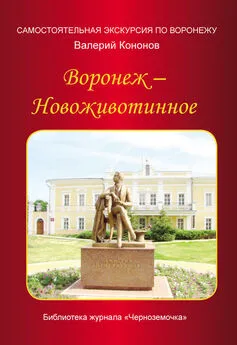 Валерий Кононов - Воронеж – Новоживотинное