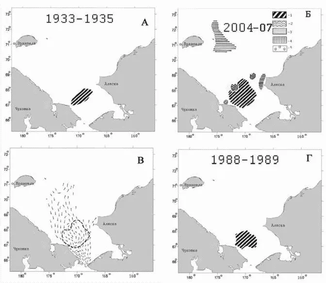 Рис 1 А Распределение донного сообщества Macoma calcarea на шельфе - фото 36