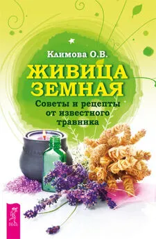 Ольга Климова - Живица Земная. Советы и рецепты от известного травника