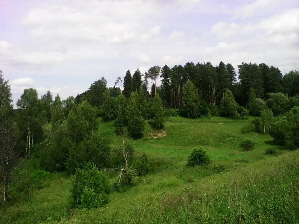 Но то что ты сделал когда я подошла к вам и рассказала про гостей удивило и - фото 2