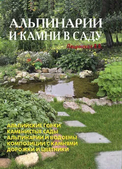 В. Лещинская - Альпинарии и камни в саду