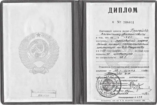 Диплом инженера В Пролейко Все както сразу рухнуло А я уже побывал в своем - фото 25