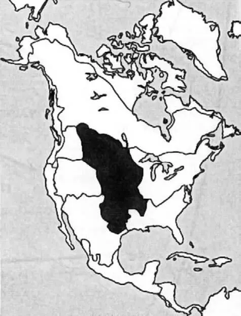 Карта расселения индейских племен Дикого Запада Великие Равнины более - фото 4