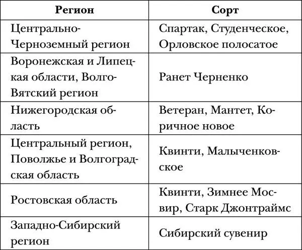 Основное правило выбора сорта нельзя использовать для посадки в северных - фото 1