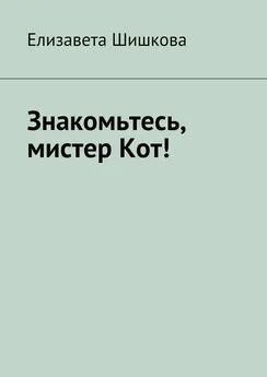 Елизавета Шишкова - Знакомьтесь, мистер Кот!