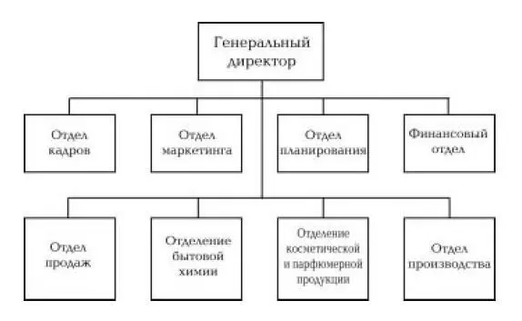 Следовательно выбор того или иного типа дивизиональной структуры должен быть - фото 1