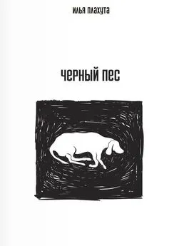 Илья Плахута - Черный Пес