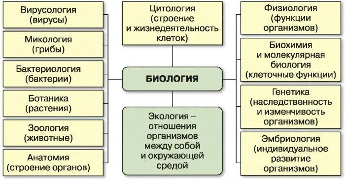 Рис 1 Биологические дисциплины Рис 2 Биосфера область распространения - фото 2