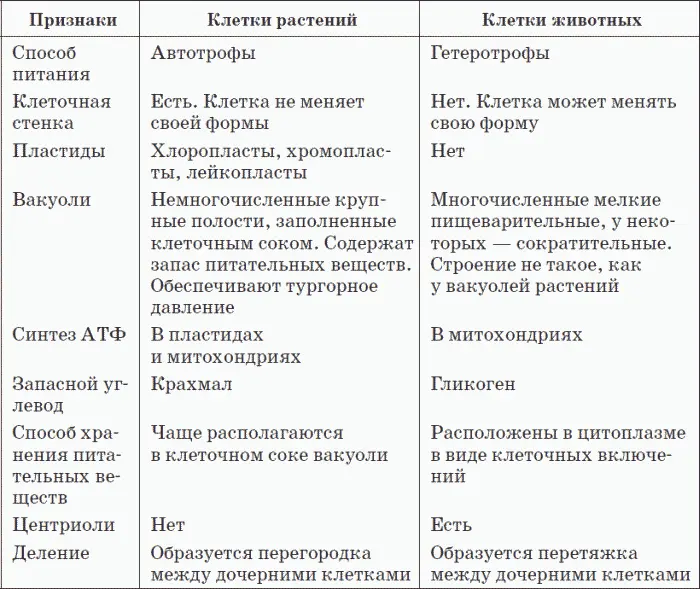 Главное отличие между клетками этих двух царств заключается в способе их - фото 69